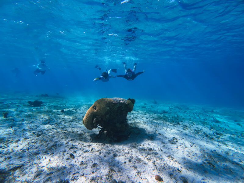 The image captures an underwater scene with a vibrant blue hue. In the foreground, a large, textured rock sits on the sandy seabed. Two figures are seen swimming in the distance, and another is further away. The water is clear, allowing visibility of the sandy bottom and the rock. The scene evokes a sense of tranquility and exploration.